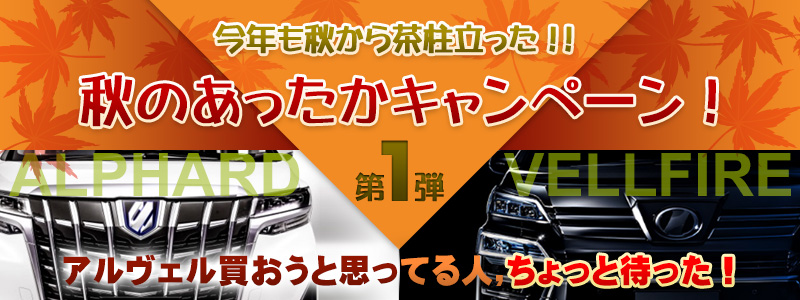 今年も秋から茶柱立った!!秋のあったかキャンペーン!第1弾