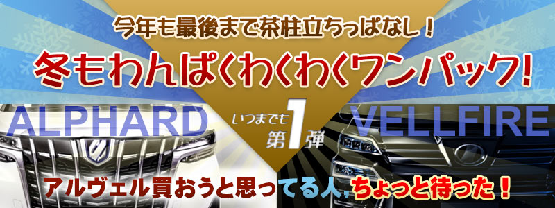 今年も最後まで茶柱立ちっぱなし!冬もわんぱくわくわくワンパック!いつまでも第1弾